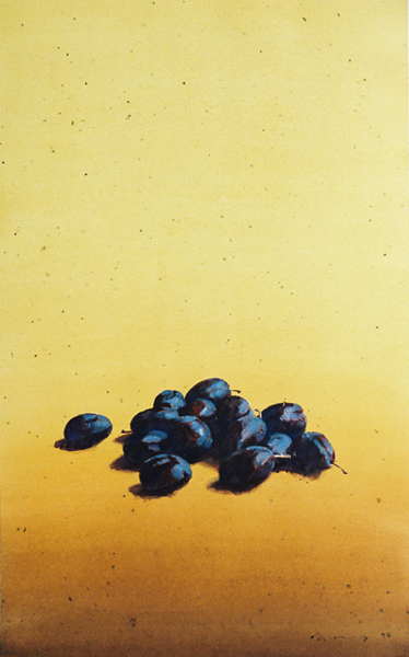 Prune noire 14 - 黒のプラム 14 - 95x60cm 1997 