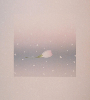 Neige au printemps - 春の雪 - 63x56.5cm 1994