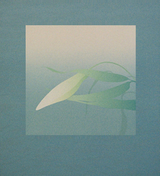 Lys blanc - 白百合 - 63x56.5cm 1994