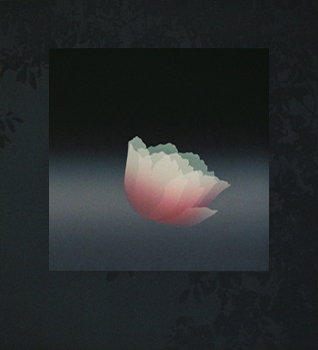 Fleur de nuit - 夜の花 - 63x56.5cm 1994