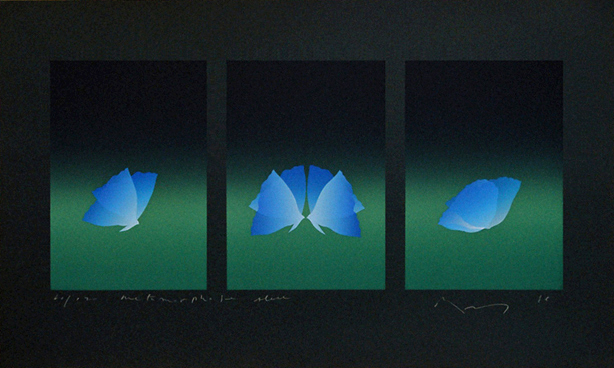 Métamorphose bleue - 青のメタモルフォーズ - 48x79cm 1996 